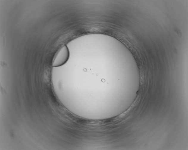 X0000090970175200708021150