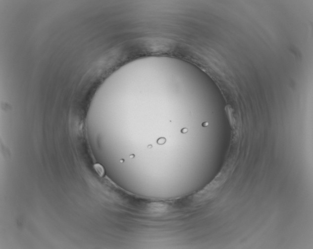 X0000090970176200708021150