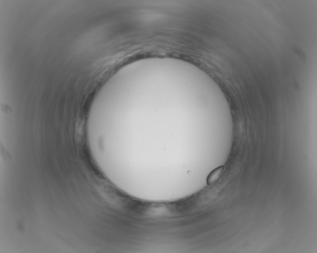 X0000090970177200708021150