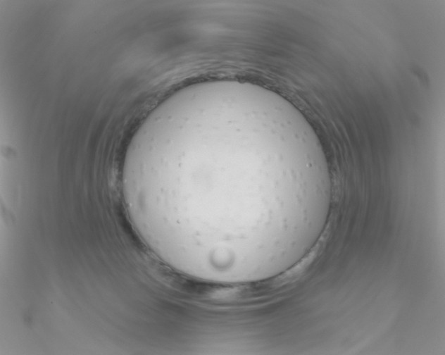 X0000090970178200708021150