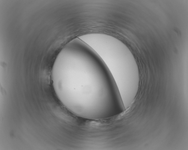 X0000090970180200708021150