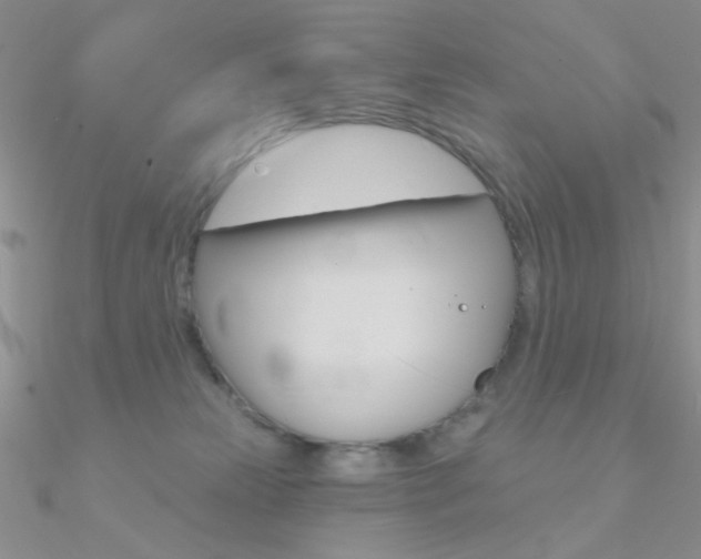 X0000090970181200708021150