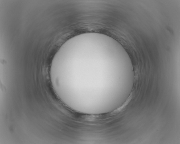 X0000090970182200708021150