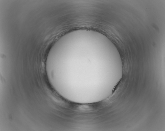 X0000090970183200708021150