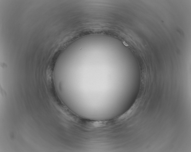 X0000090970184200708021150