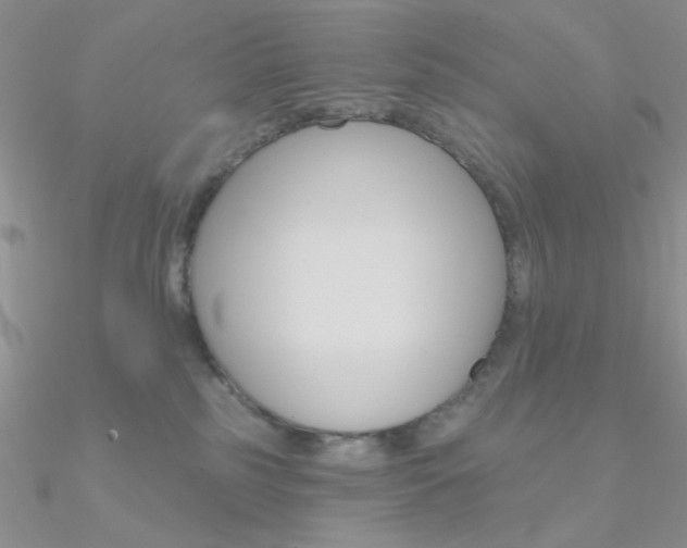 X0000090970185200708021150