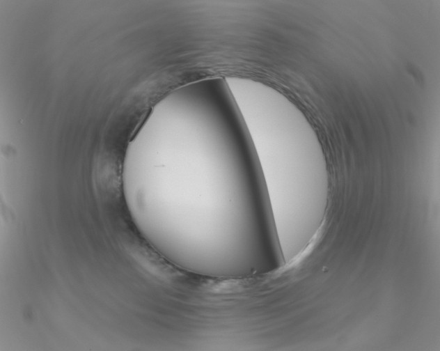 X0000090970186200708021150