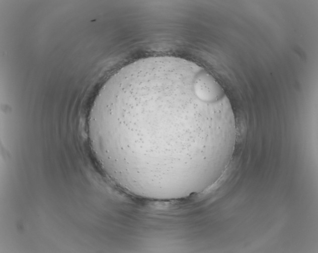 X0000090970187200708021150