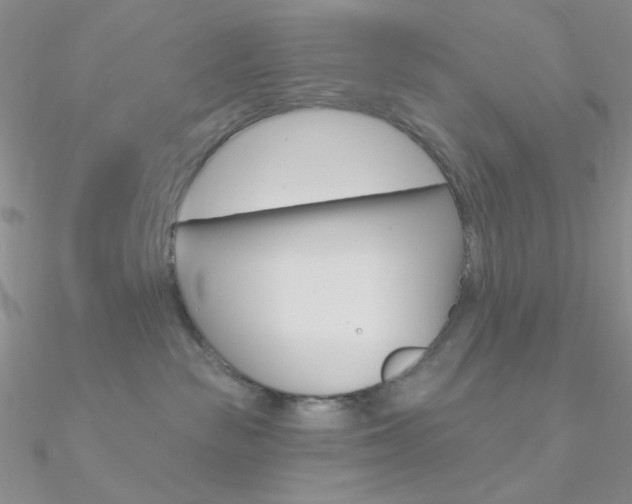 X0000090970189200708021150