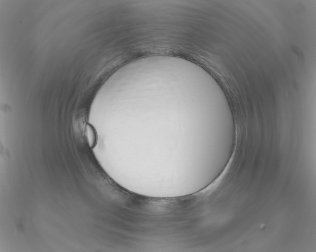 X0000090970190200708021150