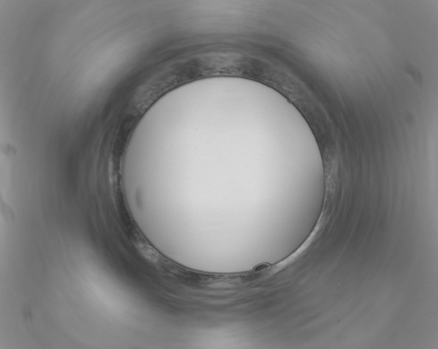 X0000090970191200708021150