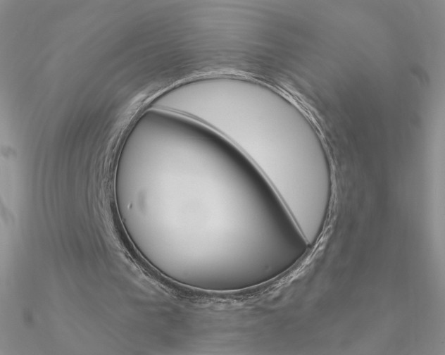 X0000090970193200708021149