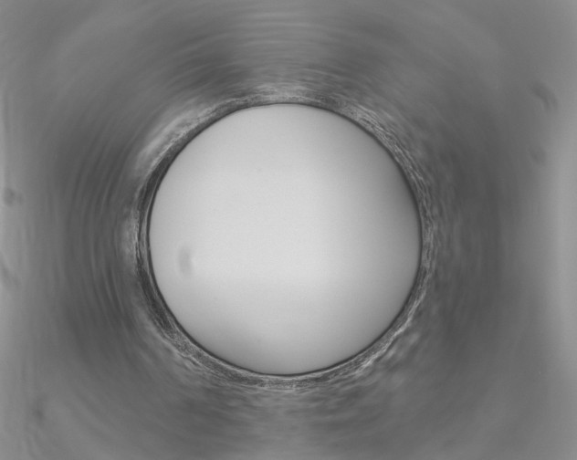 X0000090970194200708021149