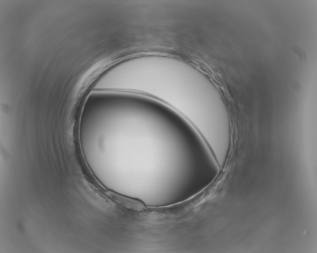 X0000090970197200708021149