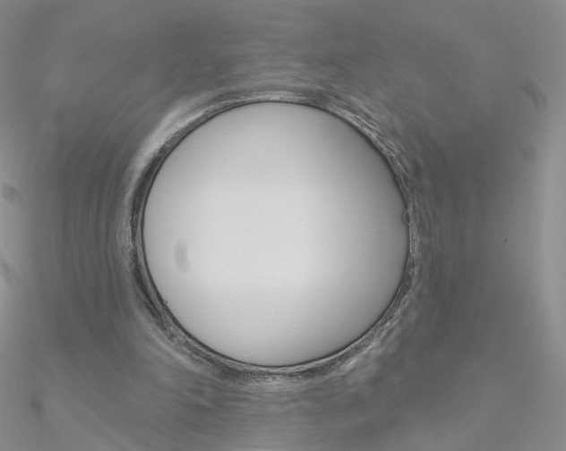 X0000090970198200708021149