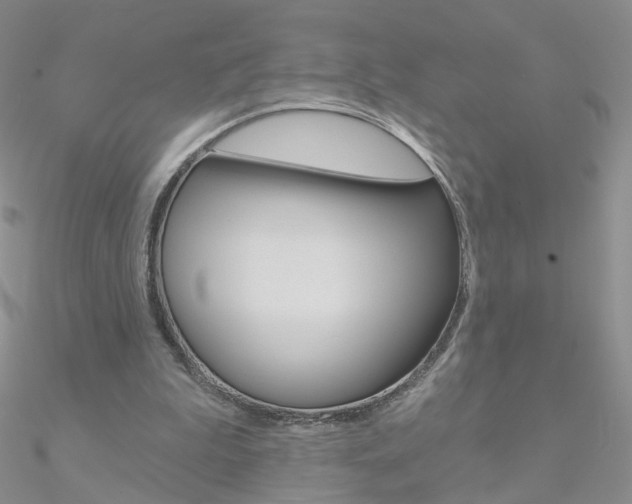 X0000090970199200708021149