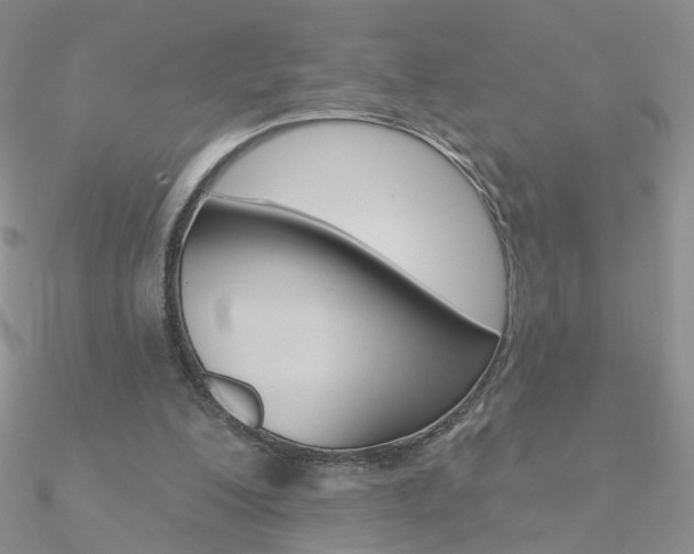 X0000090970200200708021149