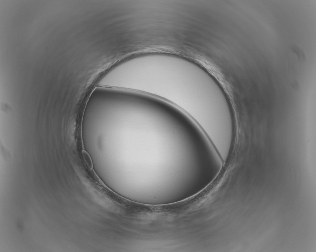 X0000090970201200708021149