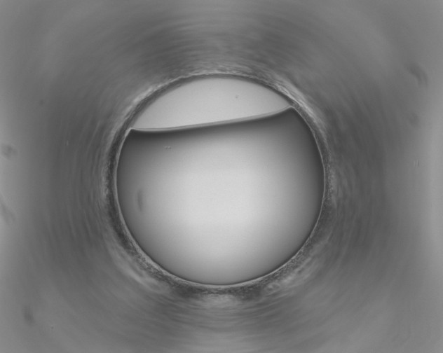 X0000090970203200708021149