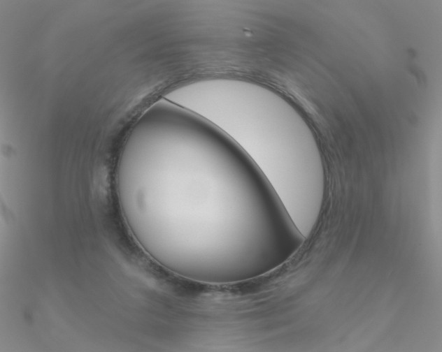X0000090970211200708021149