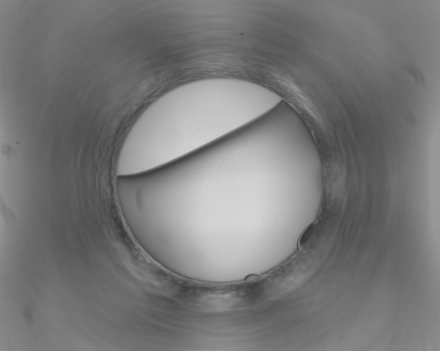 X0000090970213200708021149