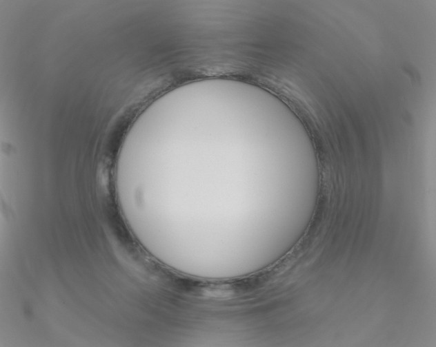 X0000090970214200708021149