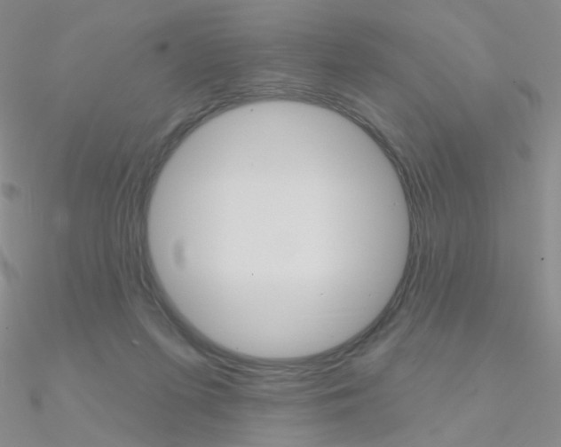 X0000090970215200708021149