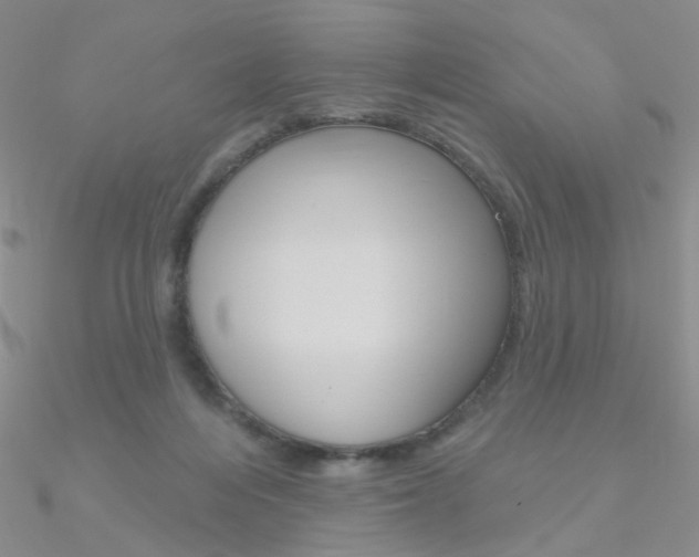 X0000090970216200708021149