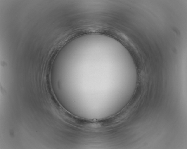 X0000090970217200708021149