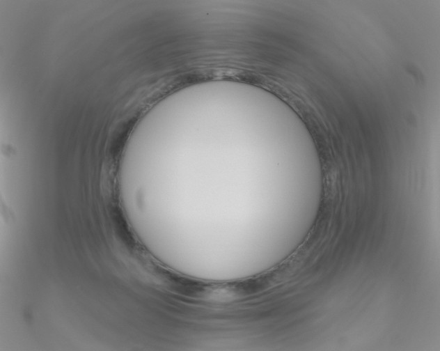 X0000090970218200708021149