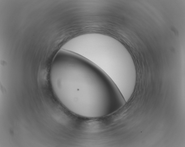 X0000090970219200708021149