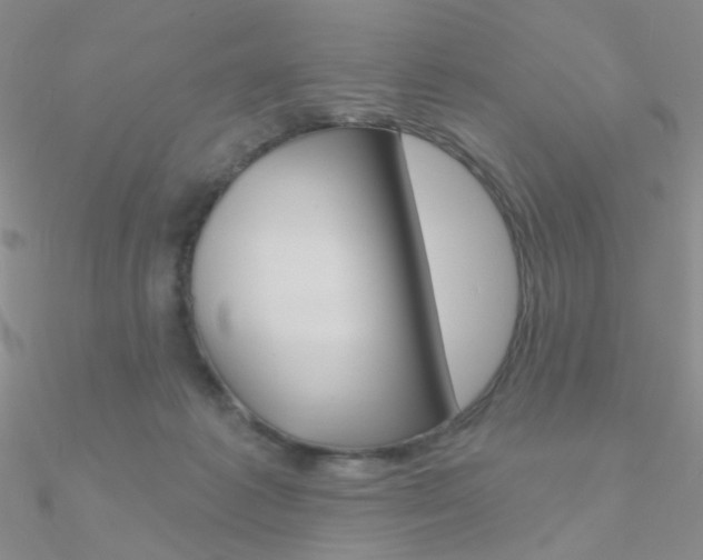 X0000090970221200708021149