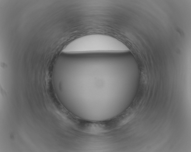 X0000090970223200708021149
