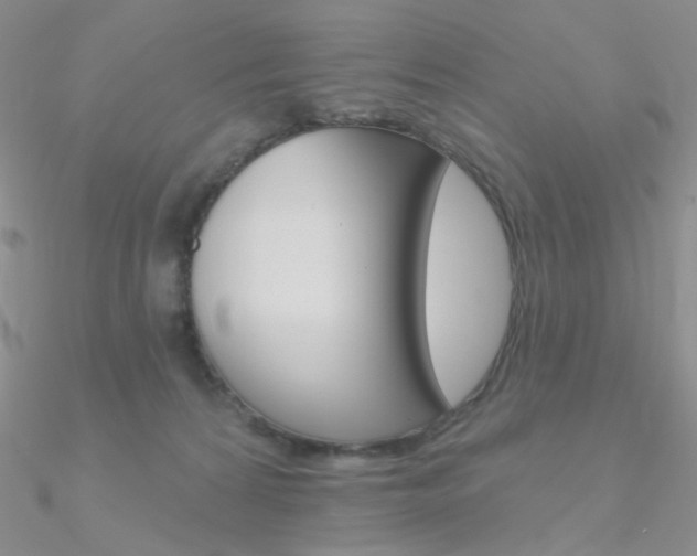 X0000090970224200708021149
