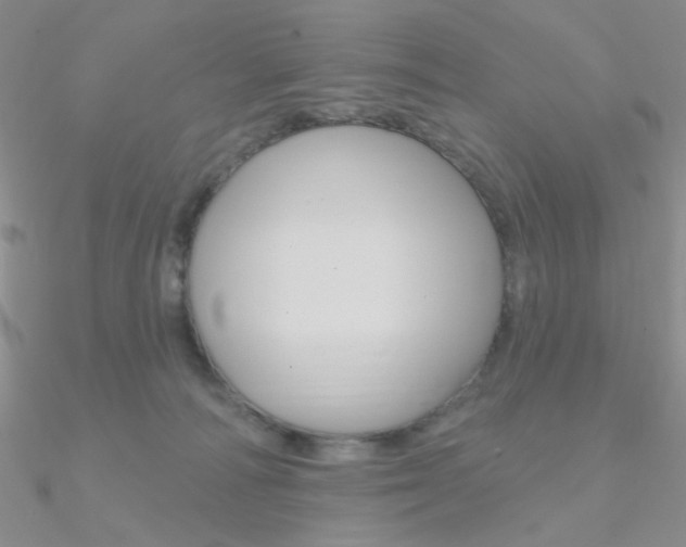 X0000090970226200708021149