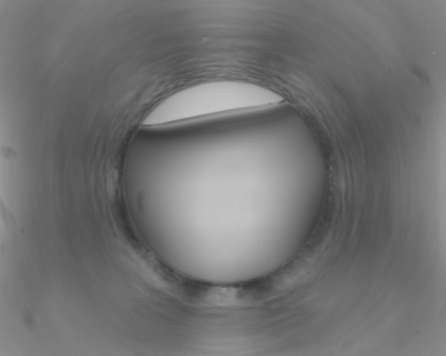 X0000090970227200708021149