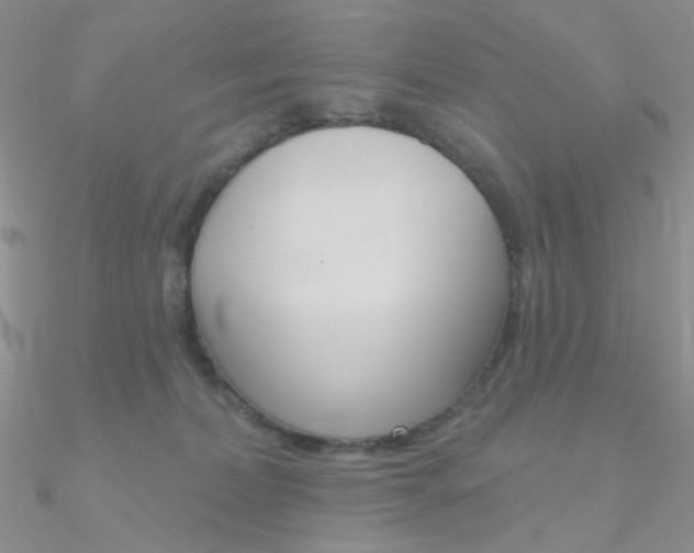 X0000090970228200708021149