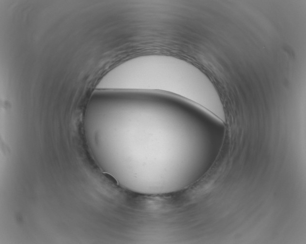 X0000090970229200708021149