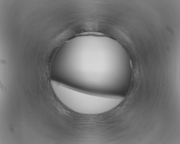 X0000090970233200708021149