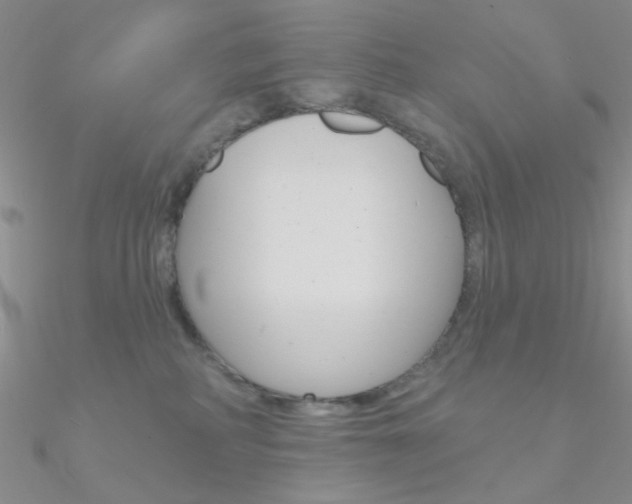 X0000090970234200708021149