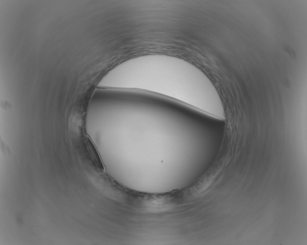 X0000090970235200708021149