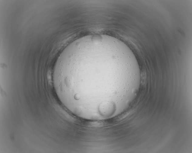 X0000090970238200708021149