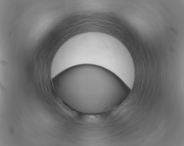 X0000090970239200708021149