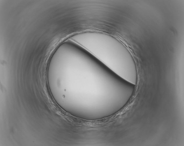 X0000090970241200708021148