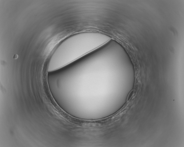 X0000090970242200708021148