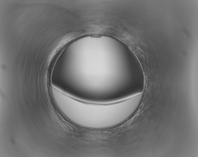 X0000090970244200708021148