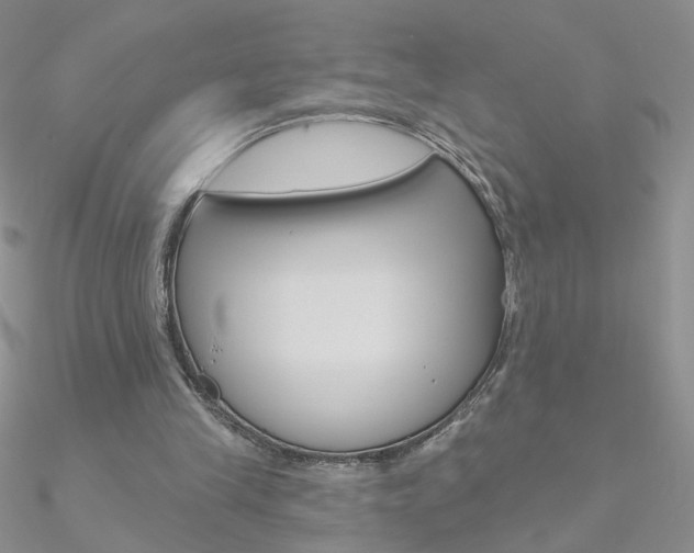 X0000090970245200708021148