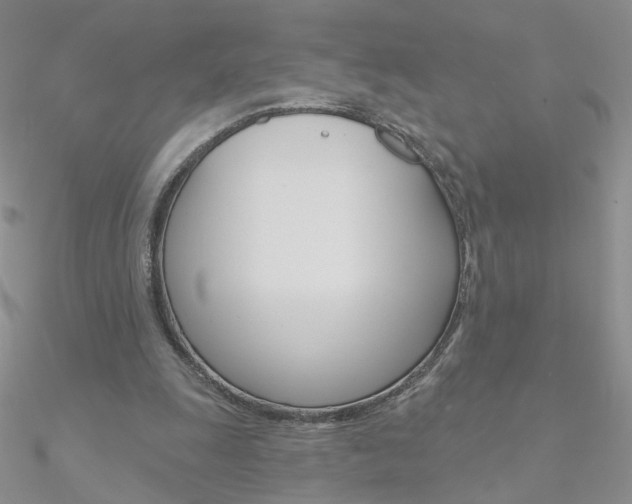 X0000090970247200708021148
