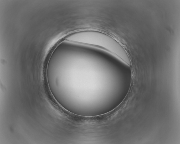 X0000090970248200708021148