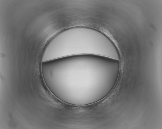 X0000090970249200708021148
